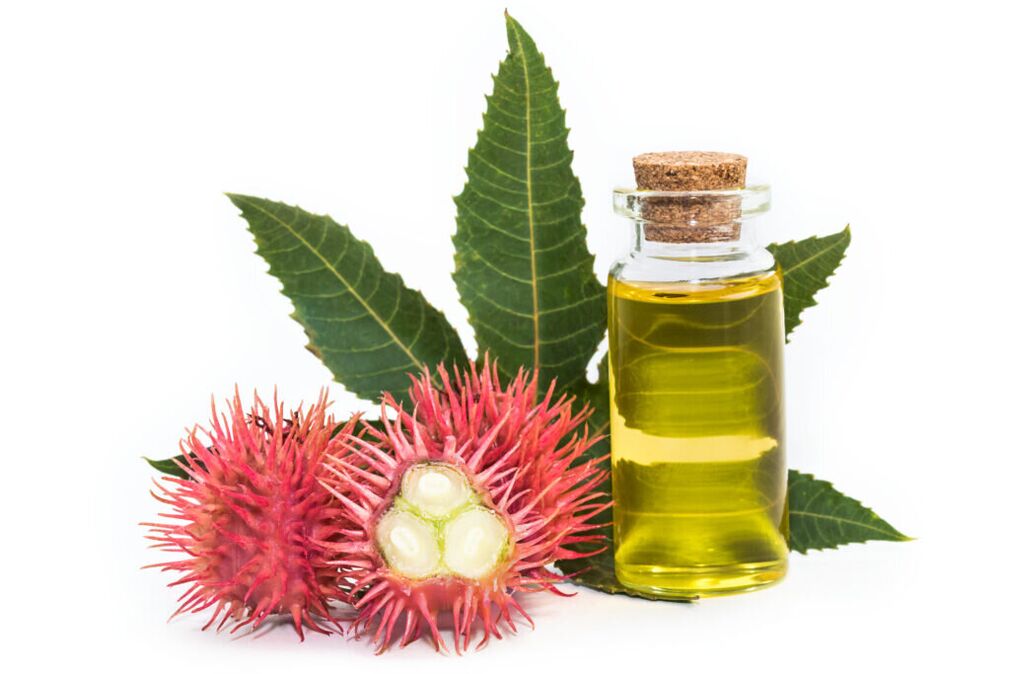 aceite de ricino - composición de la crema Proctonic